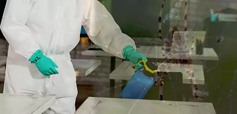 Why Buyers Still Want Homes With Pest Infestations in Grand Prairie, TX?