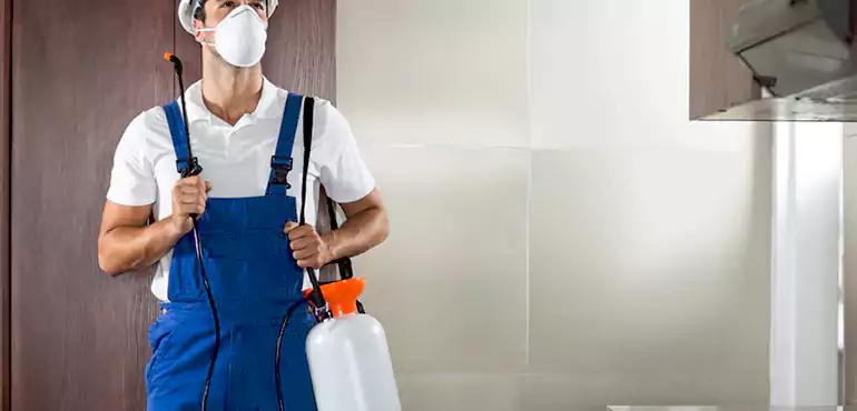 Why Grand Prairie Homeowners Choose Us When Pests Make Selling Difficult