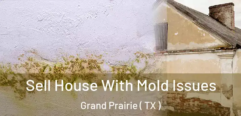  Sell House With Mold Issues Grand Prairie ( TX )